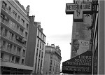 T-REX V PAŘÍŽI